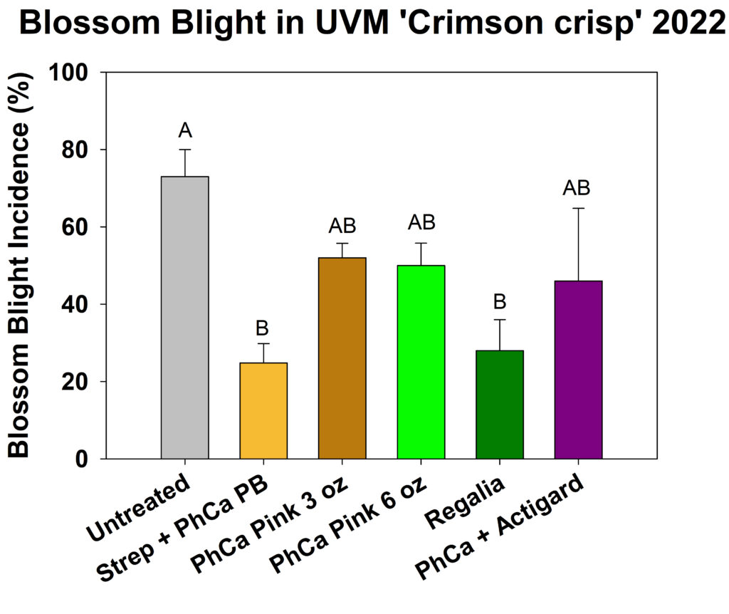 UVM Crimson Crisp Shoot Blight