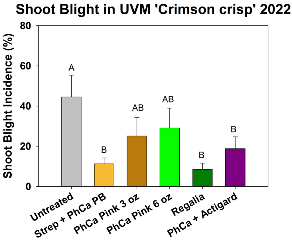 UVM Crimson Crisp Shoot Blight