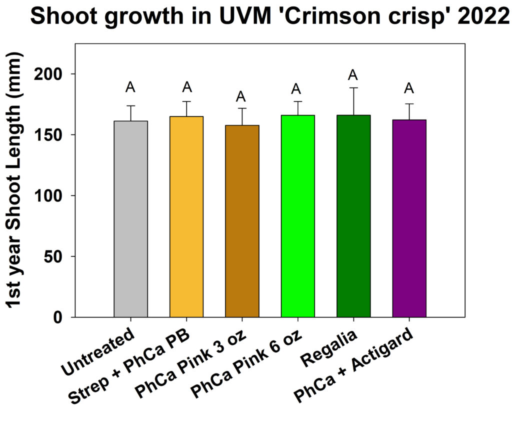 UVM Crimson Crisp Shoot Growth