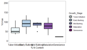 Boxplot depicting changes in Vcmax in relation to potato growth stage