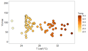 Plot showing changes in Vcmax in relation to changes in leaf temperature