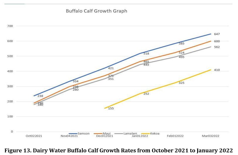 Water Buffalo Calf Weight Gain Graph