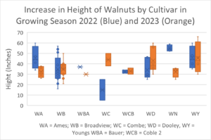 Walnut terminal growth during growing seasons 2022 and 2023