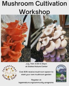 Mushroom cultivation Flyer