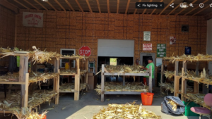 Corn drying in barn