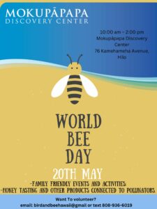 World Bee Day Flyer