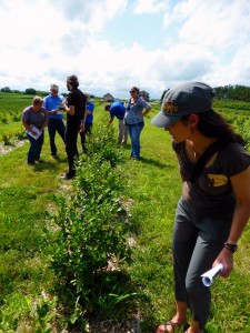 Conservation Biological Control Short Course participants in Farmington, Minnesota learn how to identity beneficial insects in the field and assess farm conditions for beneficial insect habitat. Photograph by Sarah Foltz Jordan, The Xerces Society.