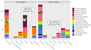 Colorful barchart showing abundance and classifications of beneficial insects visiting flowering cover crops, with superimposed snapshots of pollinator species.
