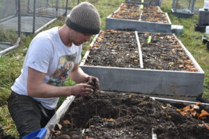 This image shows the air-pruning beds used in controlled urine application experiments at Yellowbud