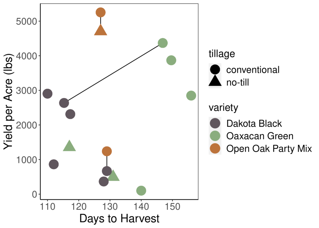 Graphical Summary of Dry Farmed Corn Variety Trial