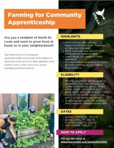 apprenticeship flyer that we use to recruit participants