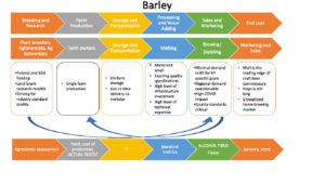 barley value chain map