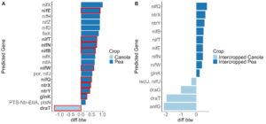 Differentially abundant KOMPs between A) monoculture canola and pea and B) intercropped canola and pea.