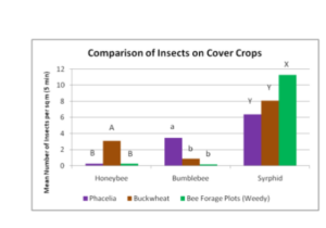 Comparison of insects on cover crops showing statistical significance.
