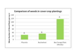 Comparison of weeds in cover crop plantings