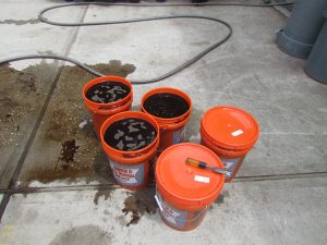 Image: Inoculation of biochar was done using compost tea produced from a local landscaper.