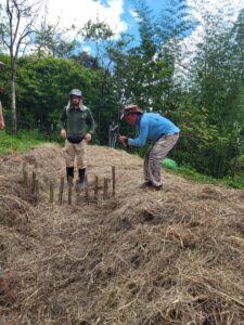 Building check dam