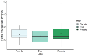 Alpha-diversity of rhizosphere