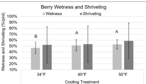 Figure 1. Average berry wetness (%/pint) and berry shriveling (%/pint) by cold storage unit temperature treatment, measured August 2 to September 5, 2022. Letters indicate significant differences at the 0.05 level of significance. Treatment differences in berry shriveling were not significant. Error bars represent the standard error of the mean.