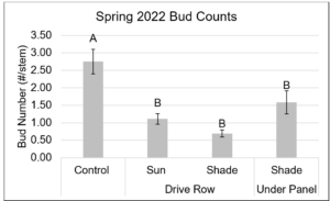 Figure 10. Average bud numbers (#/stem) relative to the amount of shading from the panels, measured on May 17, 2022. The ‘shade drive row’ location received partial sun exposure depending on the time of day. Letters indicate significant differences at the 0.05 level of significance. Error bars represent the standard error of the mean. 