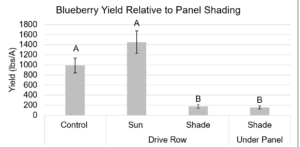 Figure 11. Average yield (lbs/A) relative to the amount of shading from the panels, harvested on July 20, 2022. The ‘shade drive row’ location received partial sun exposure depending on the time of day. Letters indicate significant differences at the 0.05 level of significance. Error bars represent the standard error of the mean.
