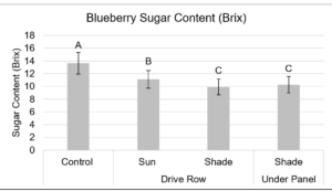 Figure 12. Average berry sugar content (Brix) relative to the amount of shading from the panels, harvested on July 20, 2022. The ‘shade drive row’ location received partial sun exposure depending on the time of day. Letters indicate significant differences at the 0.05 level of significance. Error bars represent the standard error of the mean.