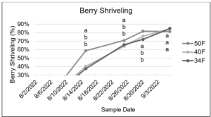 Figure 3. Average berry shriveling (%/pint) by date and cold storage unit temperature. Letters indicate significant differences at the 0.05 level of significance and are to be compared across mulch treatments by date (dates are to be compared separately). 