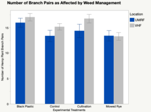 Weed management influence on branch pair numbers.
