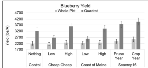 Figure 4. Average blueberry yield (lbs/A) of whole plot and quadrat subsample, measured across all three locations (Appleton, Surry and Columbia Falls) over two crop years (2020 and 2022) by treatment. Treatment differences were not significant. Error bars indicate the standard error of the mean. 