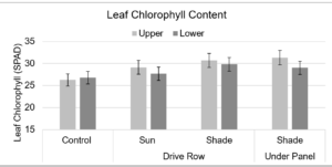 Figure 6. Average upper leaf and lower leaf chlorophyll content (SPAD) relative to the amount of shading from the panels, measured on June 14 and July 20, 2022. The ‘shade-drive row’ location received partial sun exposure depending on the time of day. Treatment differences (shading from panels) were not significant. Error bars represent the standard error of the mean.