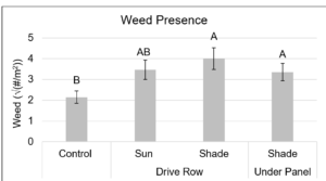 Figure 7. Average weed presence (transformed: √(#/m2)) relative to the amount of shading from the panels, measured on May 17, June 14 and July 20, 2022. The ‘shade drive row’ location received partial sun exposure depending on the time of day. Letters indicate significant differences at the 0.05 level of significance. Error bars represent the standard error of the mean.