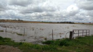 Pasture flooding