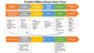 flour value chain map