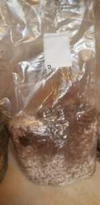 Sawdust bag D