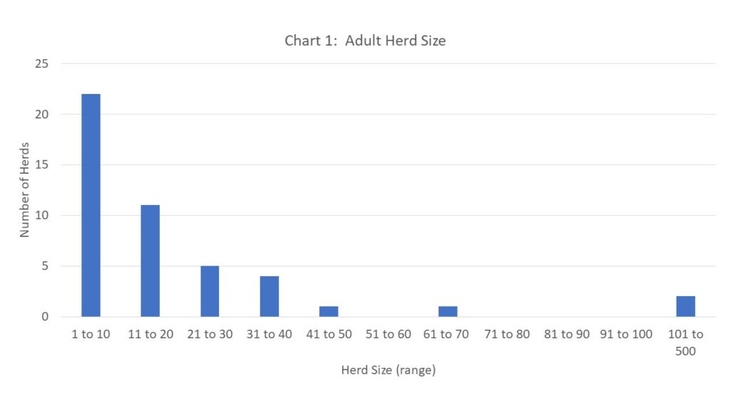 bar chart showing distribution of adult herd size