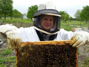 holding hive frame