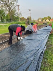 Laying landscape fabric over beds