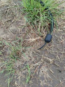 Sensor buried in ground