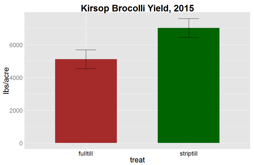 Figure 16. Broccoli yield at Kirsop Farm in 2015. P value =0.1.