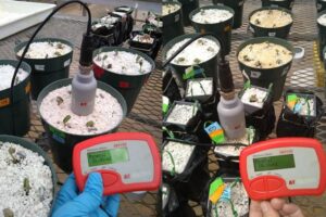 Soil Moisture Test