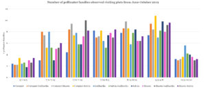 number of pollinator families visiting plots main experiment 2019
