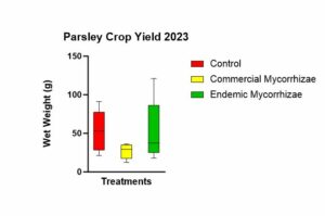 Figure 14 shows parsley crop yield between the 3 treatments using the wet mass of the parsley plants.