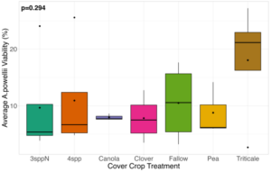 Figure 4. A. powellii seed viability from Fall 2023 (after 1 year burial). Treatment did not have a significant effect on weed seed viability (df=6, p=0.294).