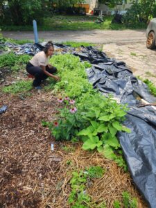 pooj crouched at lower level on bioswale planting