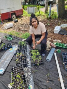 pooj pictured by native plant starts, for the bioswales