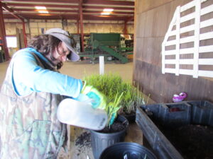 potting up containers