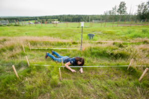 University of Alaska Cooperative Extension Robert White Large Animal Research Station Laura Starr's grazing research