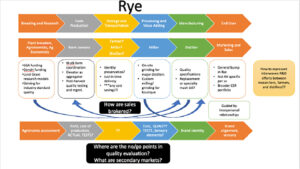 rye value chain map