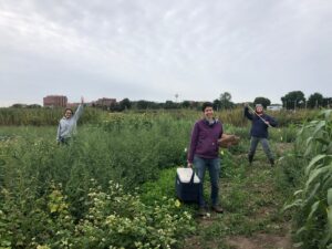 Students in field