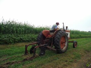 Trialing the NTPA in the rolled/crimped beds, August 2014